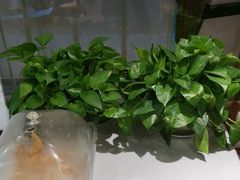 -天和晟新京菜.水煮鱼.湘土菜(国展店)