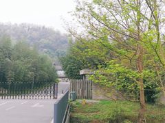 -都江堰中华大熊猫苑