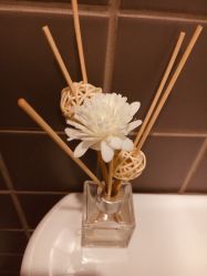 -酉嘉瑜伽YO+YOGA