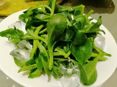 -享月汤皇·海鲜小火锅·聚会(曲江创意谷店)