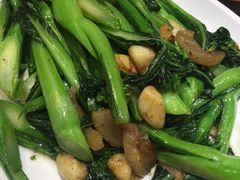 生炒菜心-富豪海鲜酒家(常平店)
