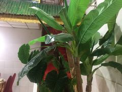 -金塔傣乡·云南民族特色菜·傣味手抓饭(金瓦路店)