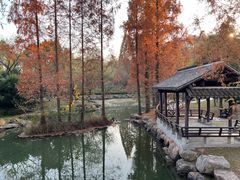 -兰亭风景区