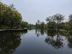 -西溪国家湿地公园