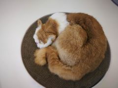 -厦门高崎国际机场-T3航站楼