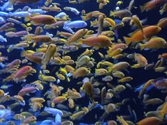 -成都浩海立方海洋公园