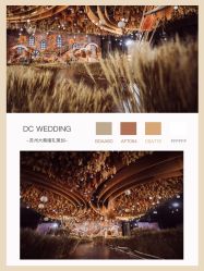 -DC大蔡婚礼策划(李公堤店)