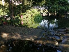 -成都市活水公园