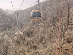 -栾川竹海野生动物园