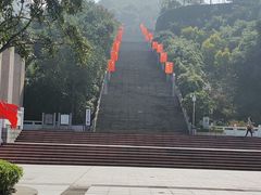 -铁山坪森林公园