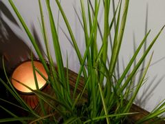 -皇城根茶馆(兴隆都市馨园店)