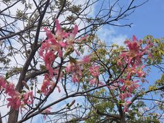 -小和庆·知味(首铸万科店)
