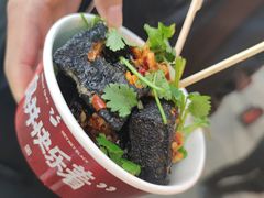 黑色经典臭豆腐-黑色经典臭豆腐·湖南特产(坡子街店)