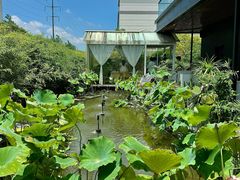 -观宴·品质赣菜(高新大道店)