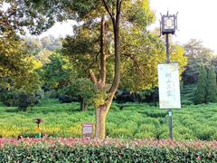 -树山生态村