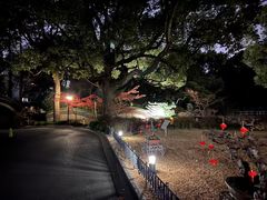 -申粤轩酒楼·三十年粤菜经典(丁香花园店)
