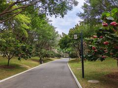 -南宁南湖公园