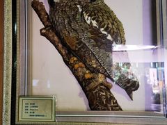 -陕西自然博物馆