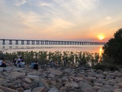 -宝安西湾红树林湿地公园