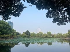 -无锡蠡湖国家湿地公园-蠡园