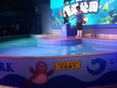 -石家庄海洋公园