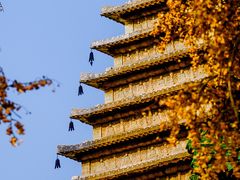 -北京石刻艺术博物馆(五塔寺)
