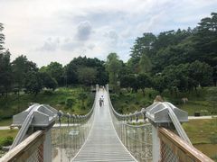 -东莞植物园