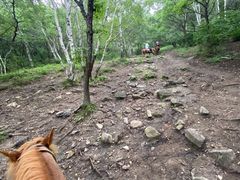 -灵山