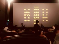 座椅-山文星辉影城(济南和谐广场店)