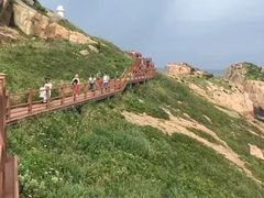 -枸杞岛
