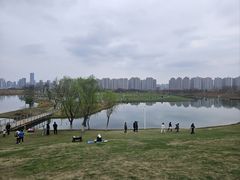 -洋湖国家湿地公园