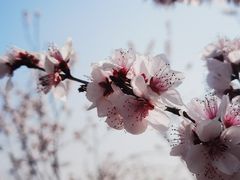 -白水寺森林公园