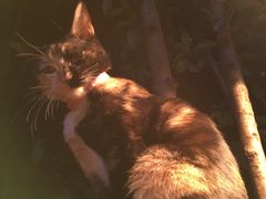 -疆Jiang·新疆秘制料理