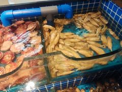 -海汕记·潮汕鲜牛肉火锅·自助