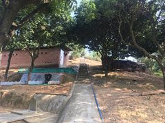 -彩虹桥宠物火化殡葬善终服务(金乐大厦店)