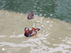 -西安曲江寒窑遗址公园