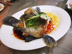 清蒸石斑鱼-哈味食店(外伶仃岛店)