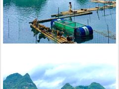 -靖西鹅泉风景区