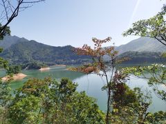 -广州市流溪河国家森林公园