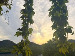 -马灯部落·西湖边的创意山景餐厅(虎跑动物园店)