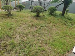 -合肥野生动物园