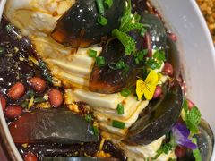 姜汁皮蛋豆腐-紫光园·烤鸭·北京菜(劲松店)