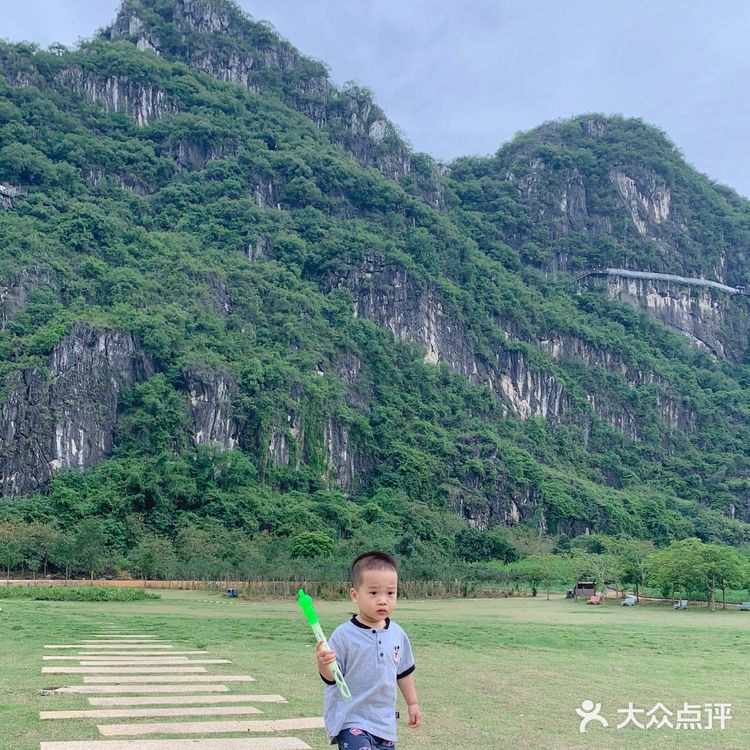 置身花海小火车