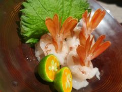 -小乔回转寿司(沈阳大悦城店)