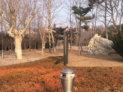 -傅家庄公园