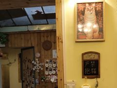 -猫色咖啡·猫咖