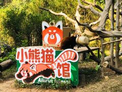-广州动物园