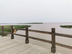 -呼兰河口湿地公园