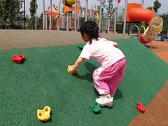 -枫香湖儿童公园