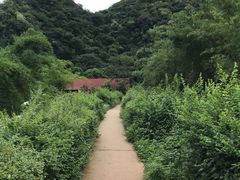 -普者黑风景区-青龙山